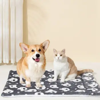 Kvėpuojantis lokys Galva Šunų lovos kilimėliai Minkšta naminių gyvūnėlių antklodė Minkšta sutirštinta minkšta katės pagalvėlė Pliušinis animacinis filmas Šiltas šunų kilimėlis Žiema