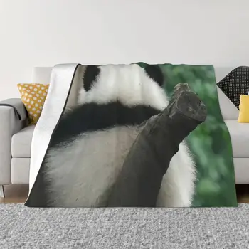 Huahua Panda gyvūnų antklodė Žiemos šiluma Flanelinė vilna Mesti antklodes miegamajam Įperkama