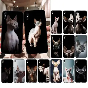 FHNBLJ Sphinx Cat Cat dėklas, skirtas iPhone 11 12 pro XS MAX 8 7 6 6S Plus X 5S SE 2020 XR dangtelis